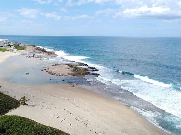 3rd image of Guayabo #C