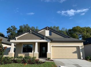 119 Elina Sky Dr, Seffner, FL 33584