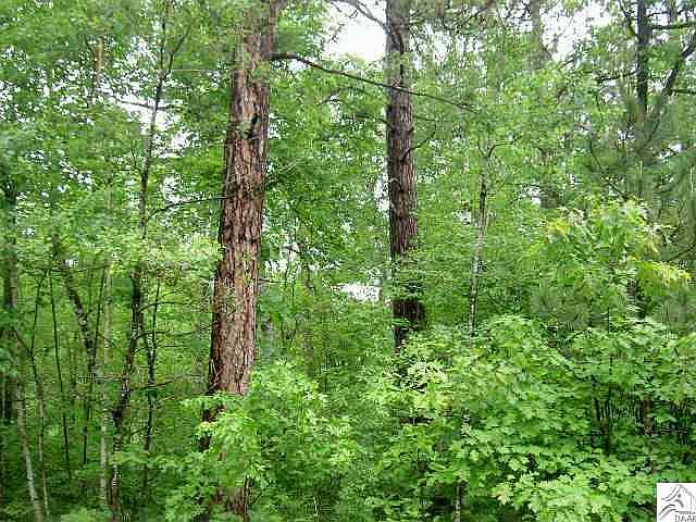 2nd image of XXX Waletzko Rd
