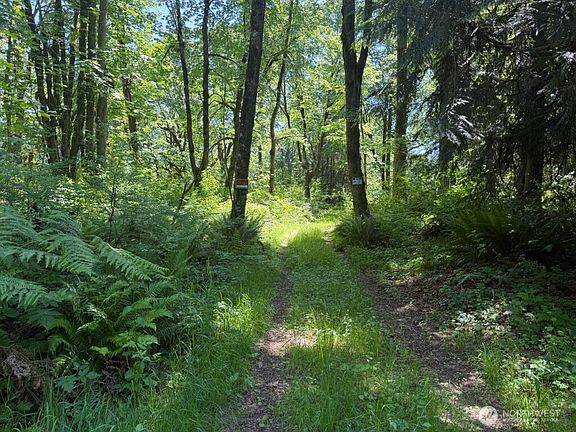 2nd image of 0 Snolqualmie Valley