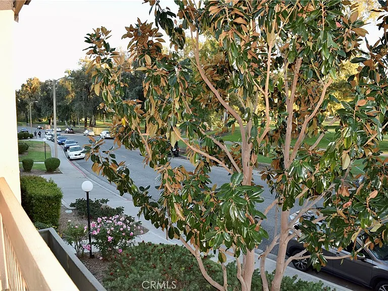 24525 Trevino Dr #24525U2 — Photo 26