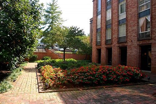 1st image of 1400 Kenesaw Ave APT 31B