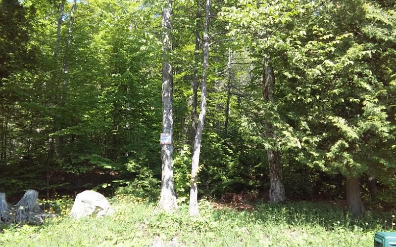 1st image of 25 Pine Cove Ln