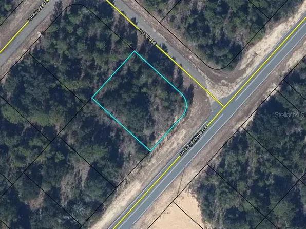 TBD SHENANDOAH BOULEVARD LOT 17, CHIPLEY, FL 32428