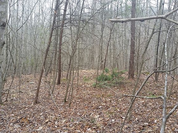 5th image of Black Hawk Dr