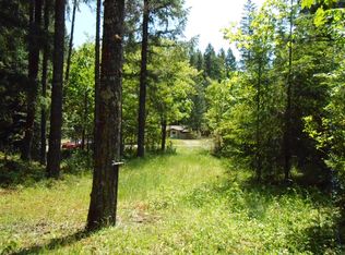 Lot 4 Butter Creek Lane, Packwood, WA 98361