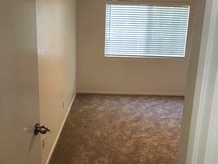 8742 Weeping Birch Ln — Photo 31