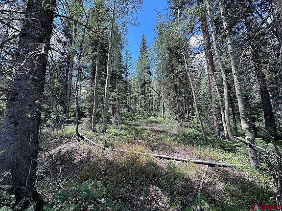 5th image of  Alletha Highway 550