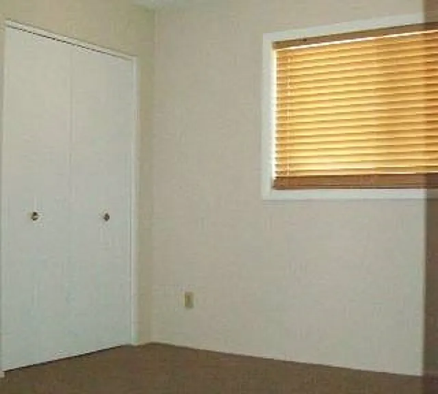 1146 E Campus Dr — Photo 8