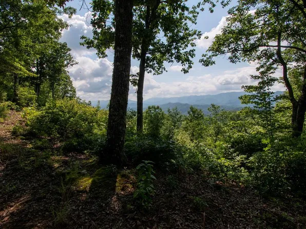 0 Bluff Rd, Marble, NC 28905