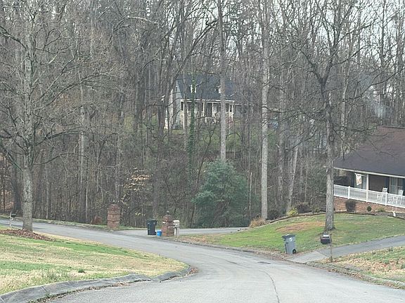 4th image of 5847 Larch Cir