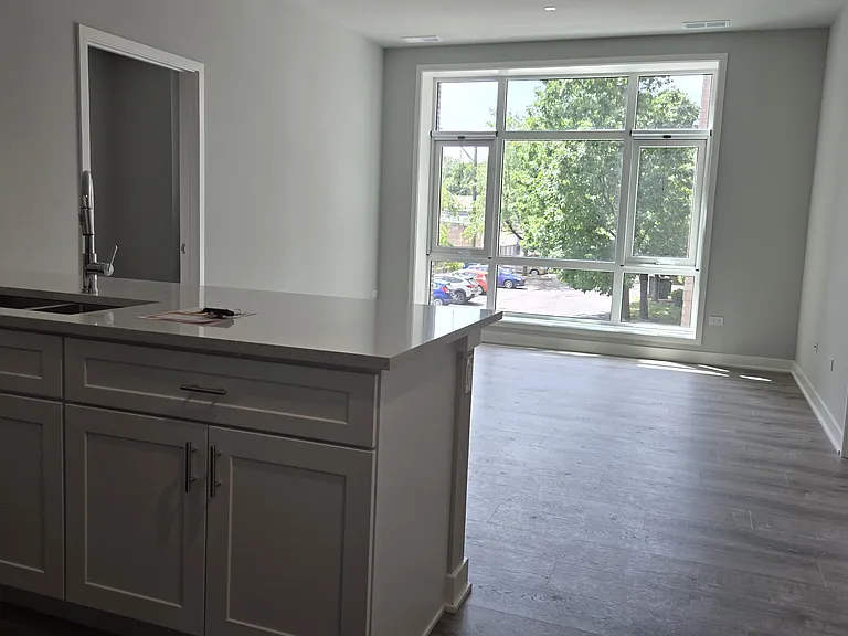 2807 S Halsted St #210 — Photo 6