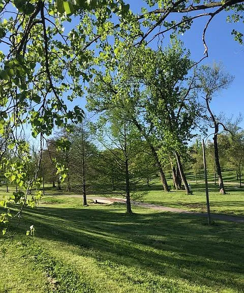 Scenes from the Park.