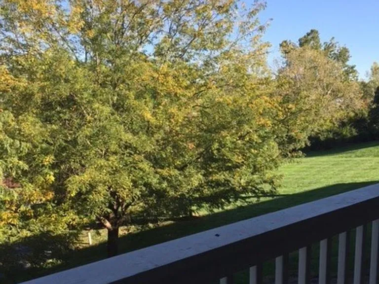 7680 Scioto Ct #206 — Photo 23
