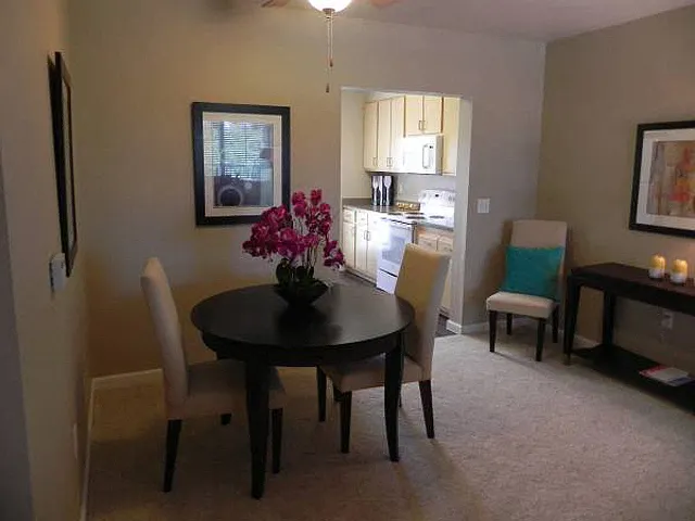 DAVINCI APARTMENTS — Photo 32