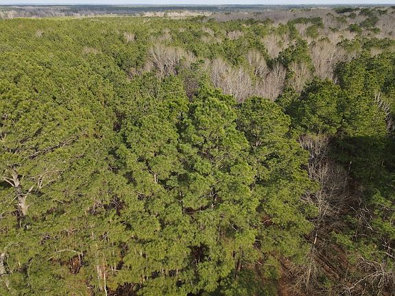 5th image of Otto Nash Rd Lot Wp040