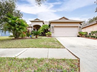 19226 Meadow Pine Dr, Tampa, FL 33647