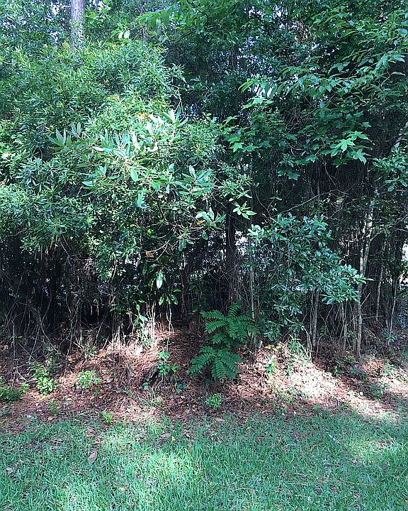 2nd image of 1307 Kansas St Lot 13