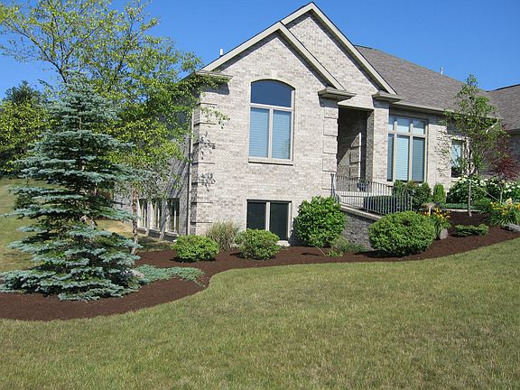 VIEW FROM S.E. OF YARD