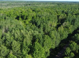 7295 W Dover Rd, Phillips, WI 54555