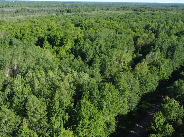7295 N West Dover Rd, Phillips, WI 54555