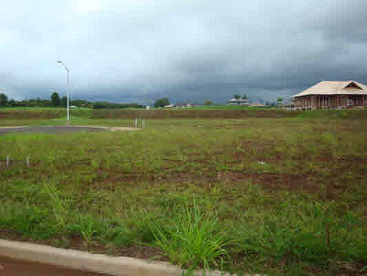 2nd image of LOT 1731