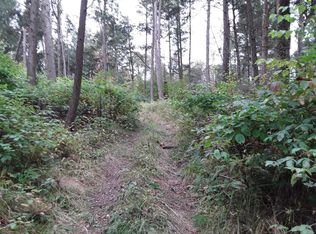 Burdick Hill Rd, Otego, NY 13825