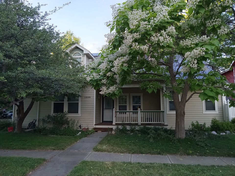 Corner Lot with mature trees on all sides.