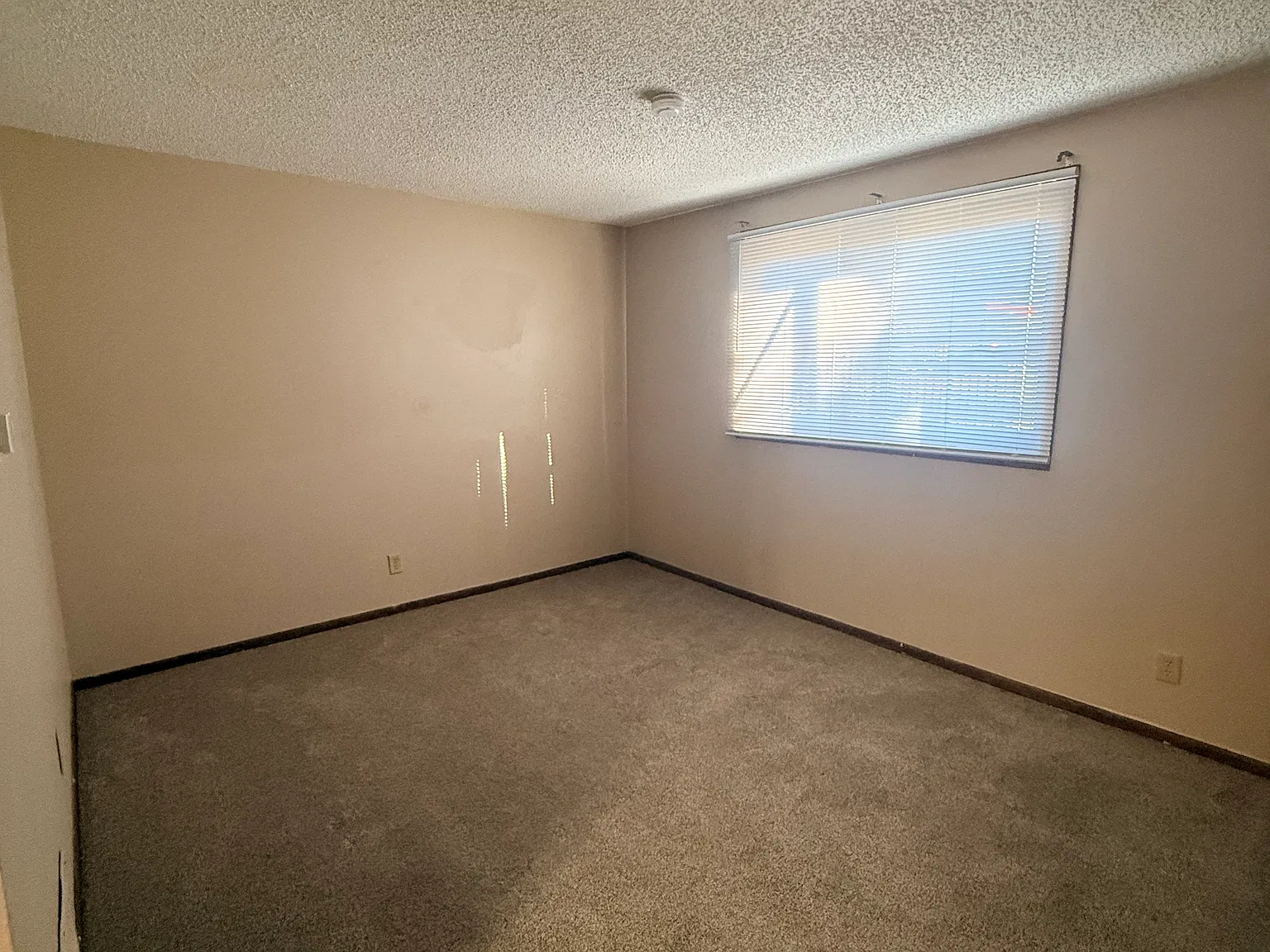 1 bed, 700 sqft, $695 — Photo 4