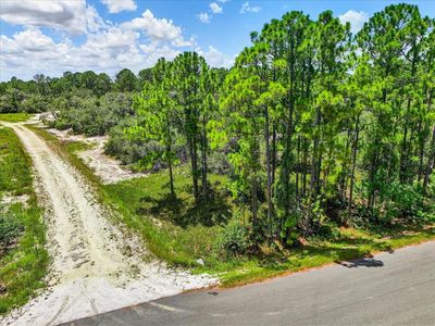 385 Jack Weisser Blvd LOT 27, Lake Placid, FL, 33852