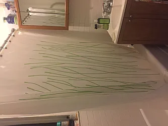 Rented by Jonathan Wachtel, LREB