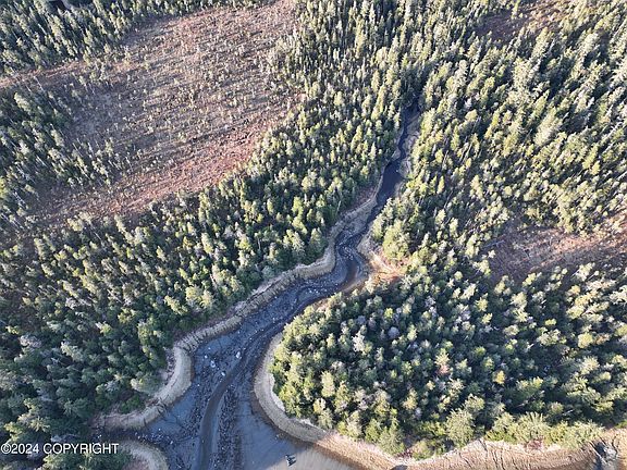 2nd image of LOT 13 S Mitkof Hwy