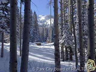 2nd image of 98 White Pine Canyon Rd #86