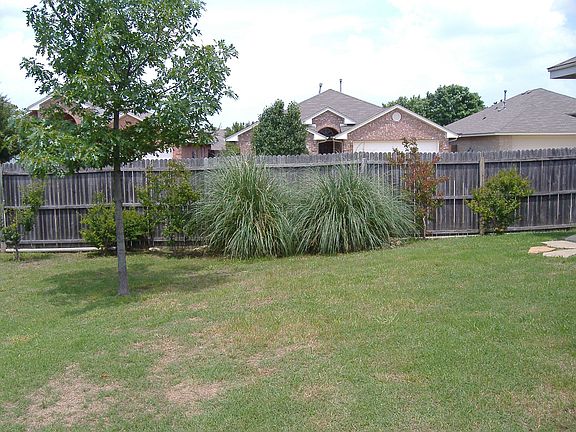 Roomy backyard