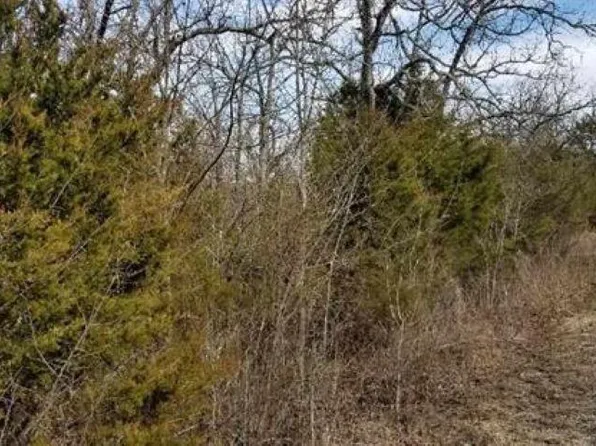 007-14999-146 Vermont Dr, Mountain Home, AR 72653
