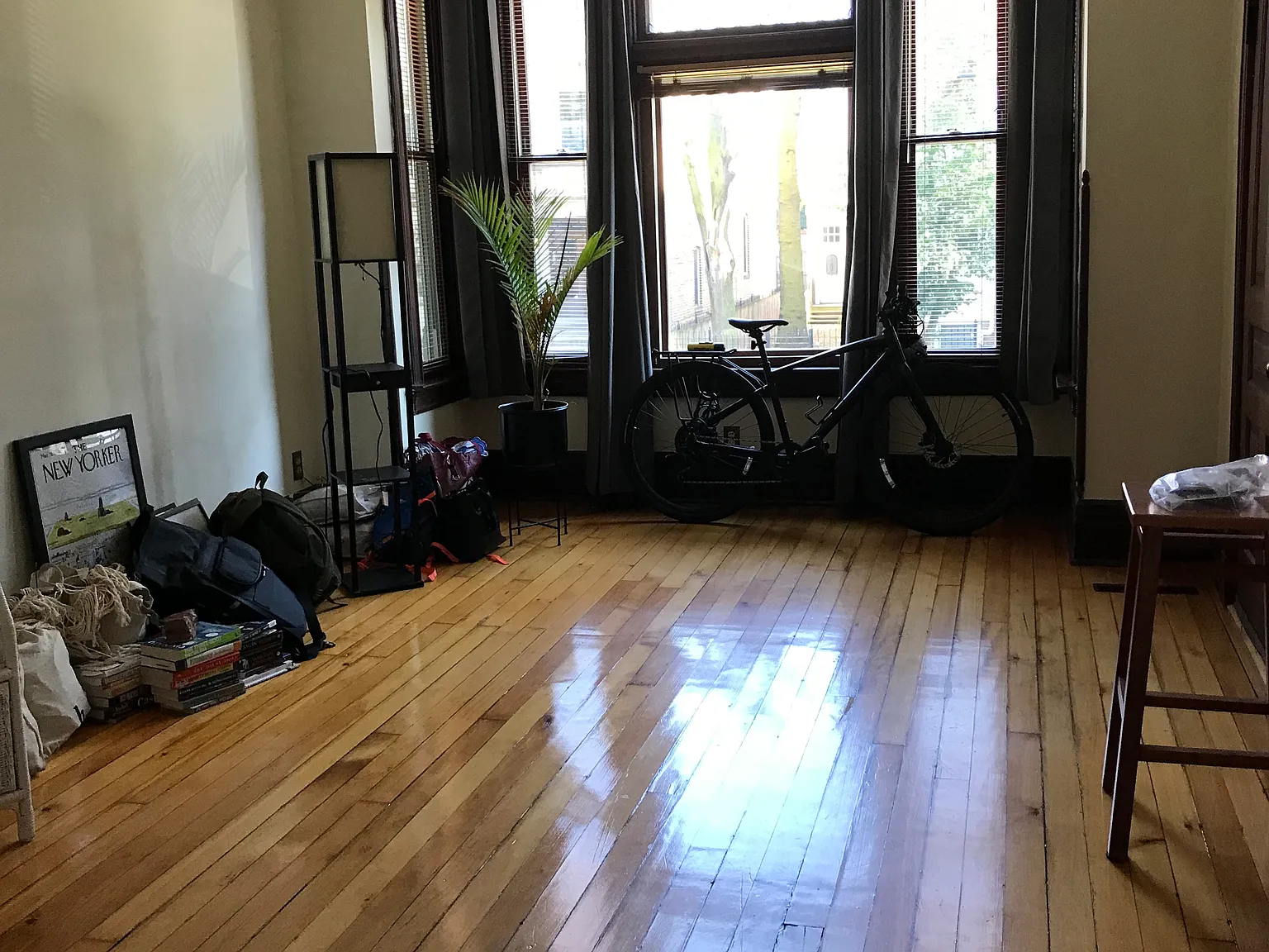 1 bed, 800 sqft, $1,700 — Photo 2