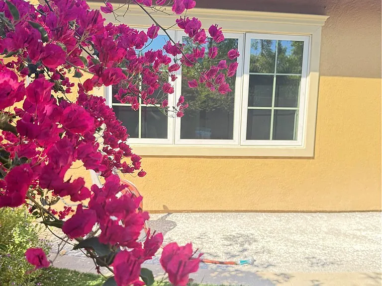 9 Maverick — Photo 24