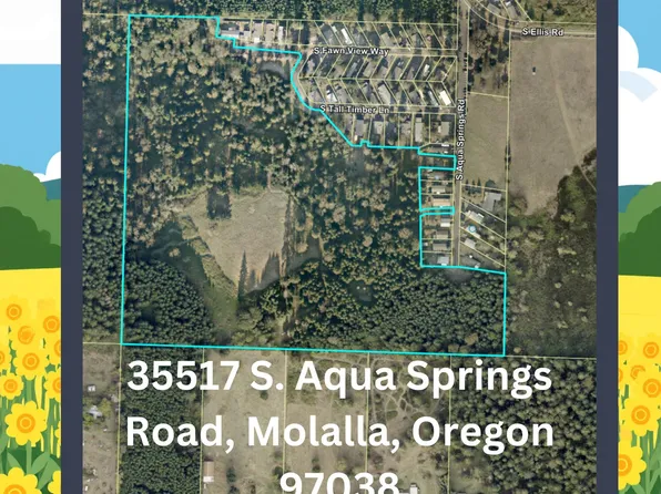 35517 S Aqua Springs Rd, Molalla, OR 97038