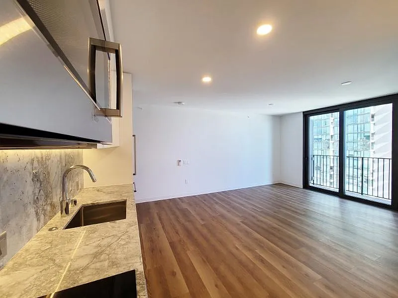 1 bed, 575 sqft, $3,300 — Photo 3