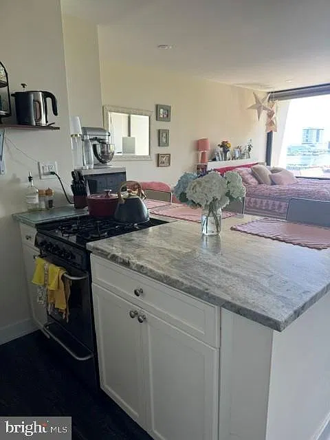 Studio, 504 sqft, $1,600 — Photo 4
