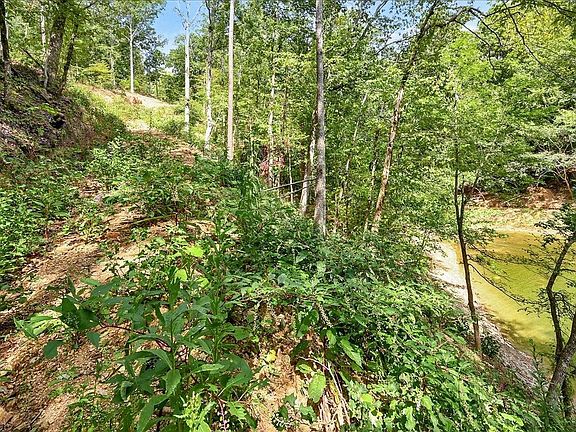 5th image of 22 County Road 875