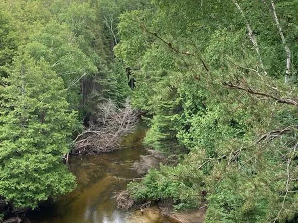 N River Ln, Millersburg, MI 49759