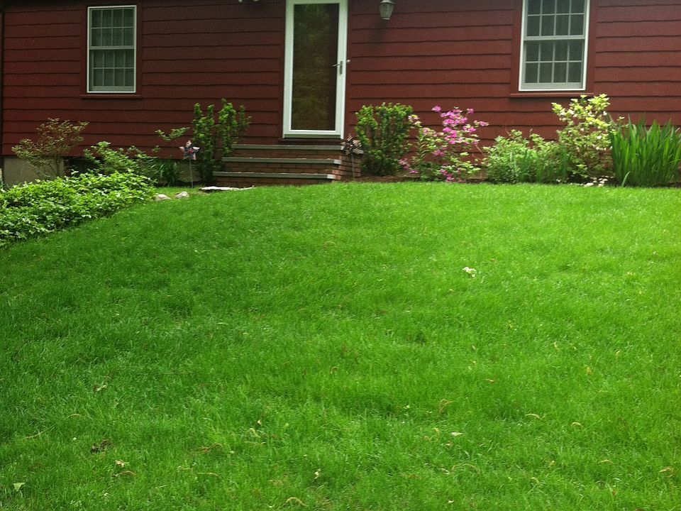 Front View. At top of Drive