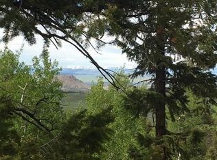 1495 Blacksmith Rd, Hartsel, CO 80449