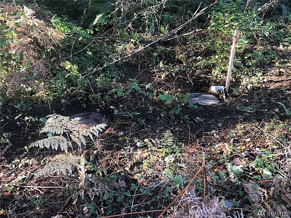 5th image of 1580 197th Ave SW