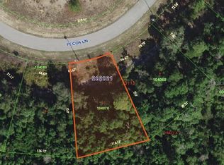 2439 Pecos Ln, Poinciana, FL 34759