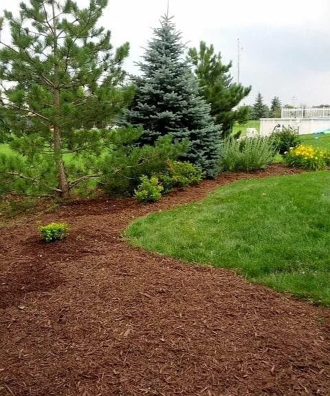 Professional landscaping