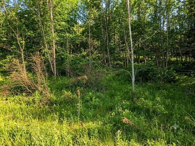 L4511 Panarama Ln, Windham, NY, 12496