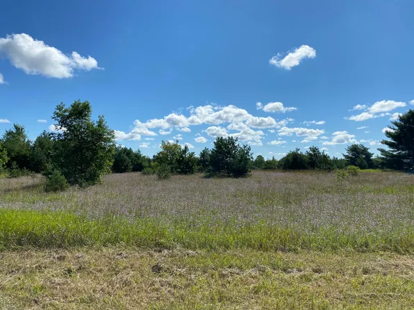 Cinder Hill Rd NE, Mancelona, MI 49659