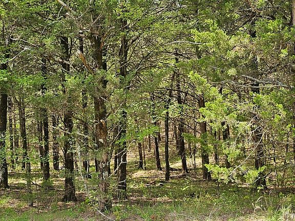4th image of 0 E 1002nd Rd